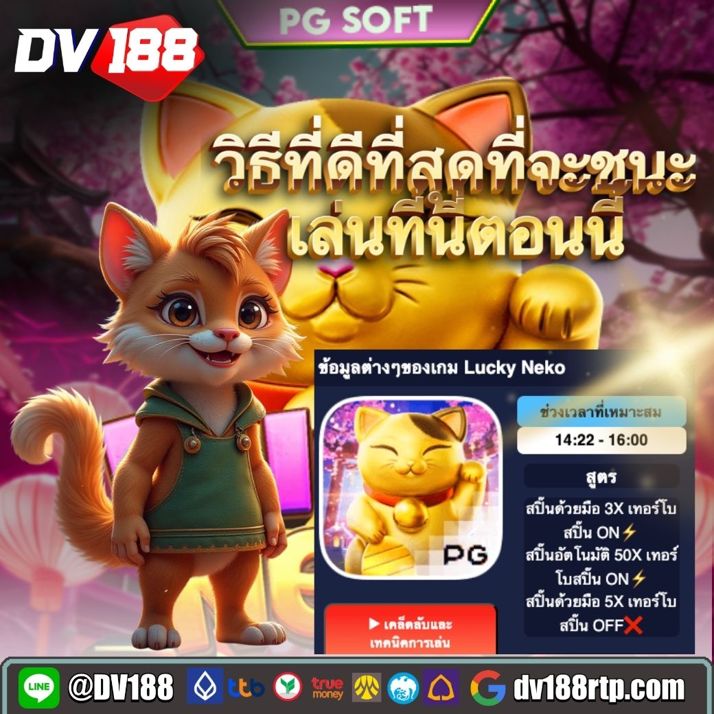 แผ่นวีว่าบอร์ด 11: เกมสล็อตโปรเกรสซีฟ: ทางเดินสู่รางวัลใหญ่